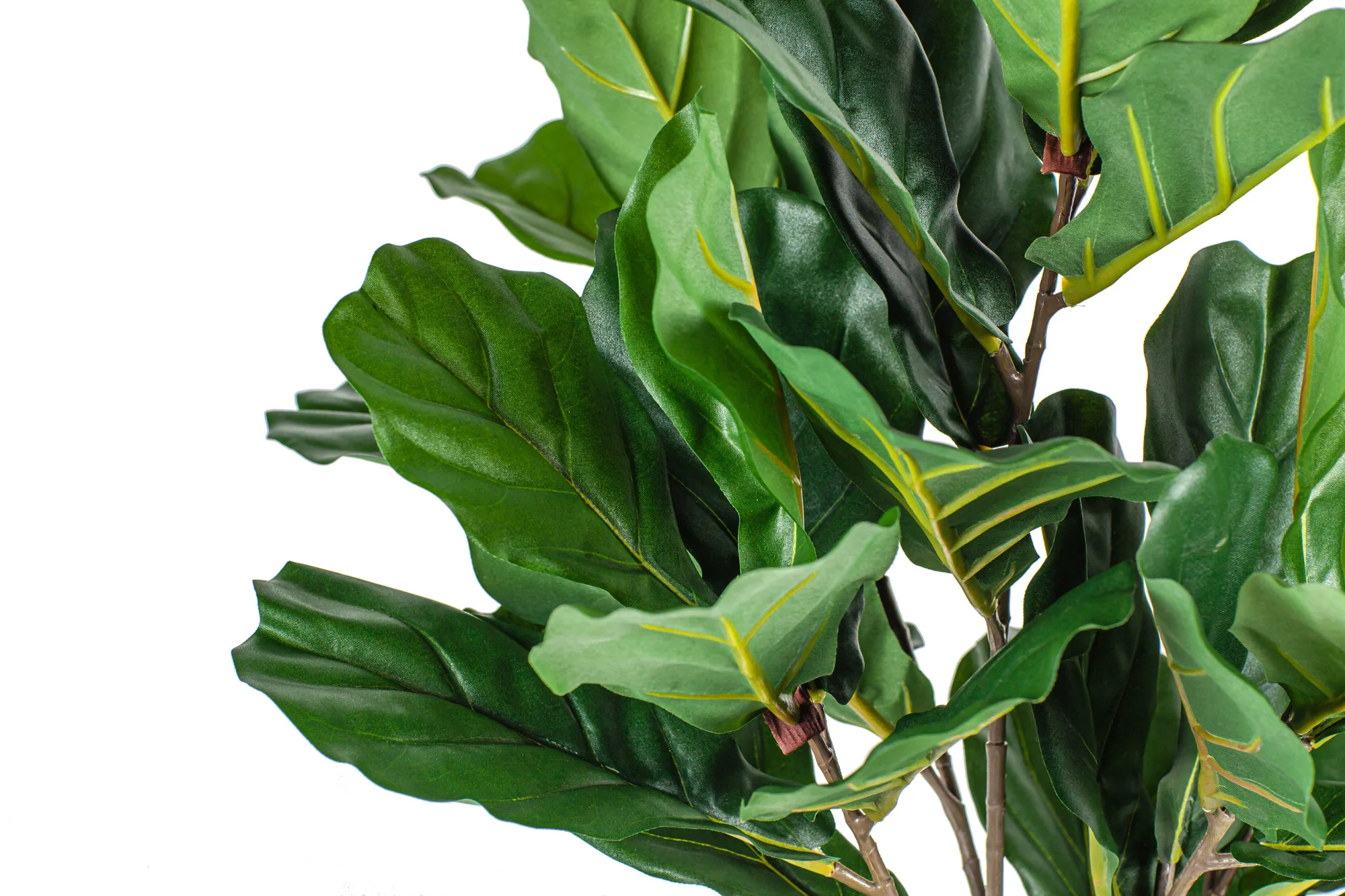 26" Potted Fiddle Leaf Fig Tree PP1029 - Image 3