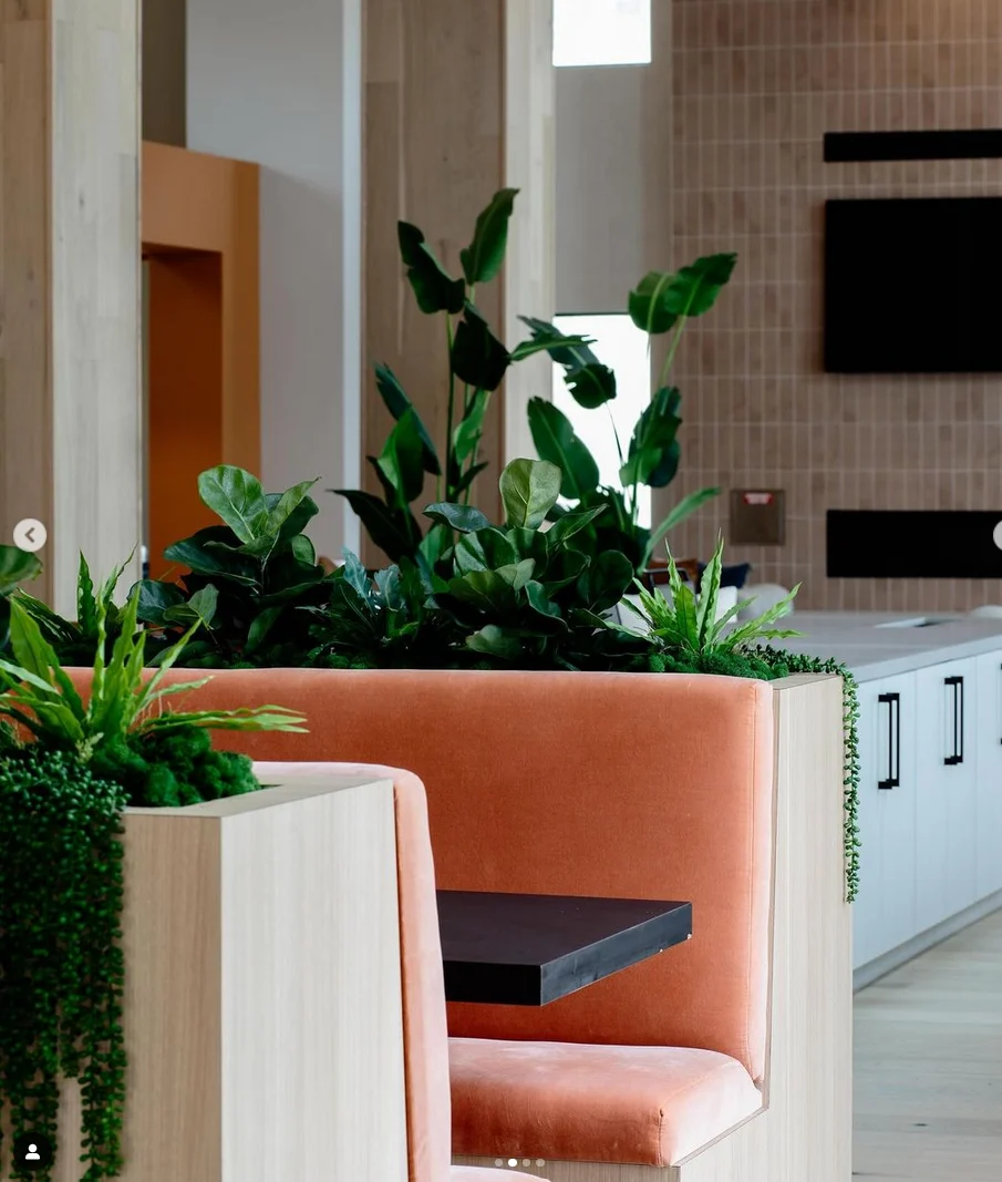 26" Potted Fiddle Leaf Fig Tree PP1029 - Image 5