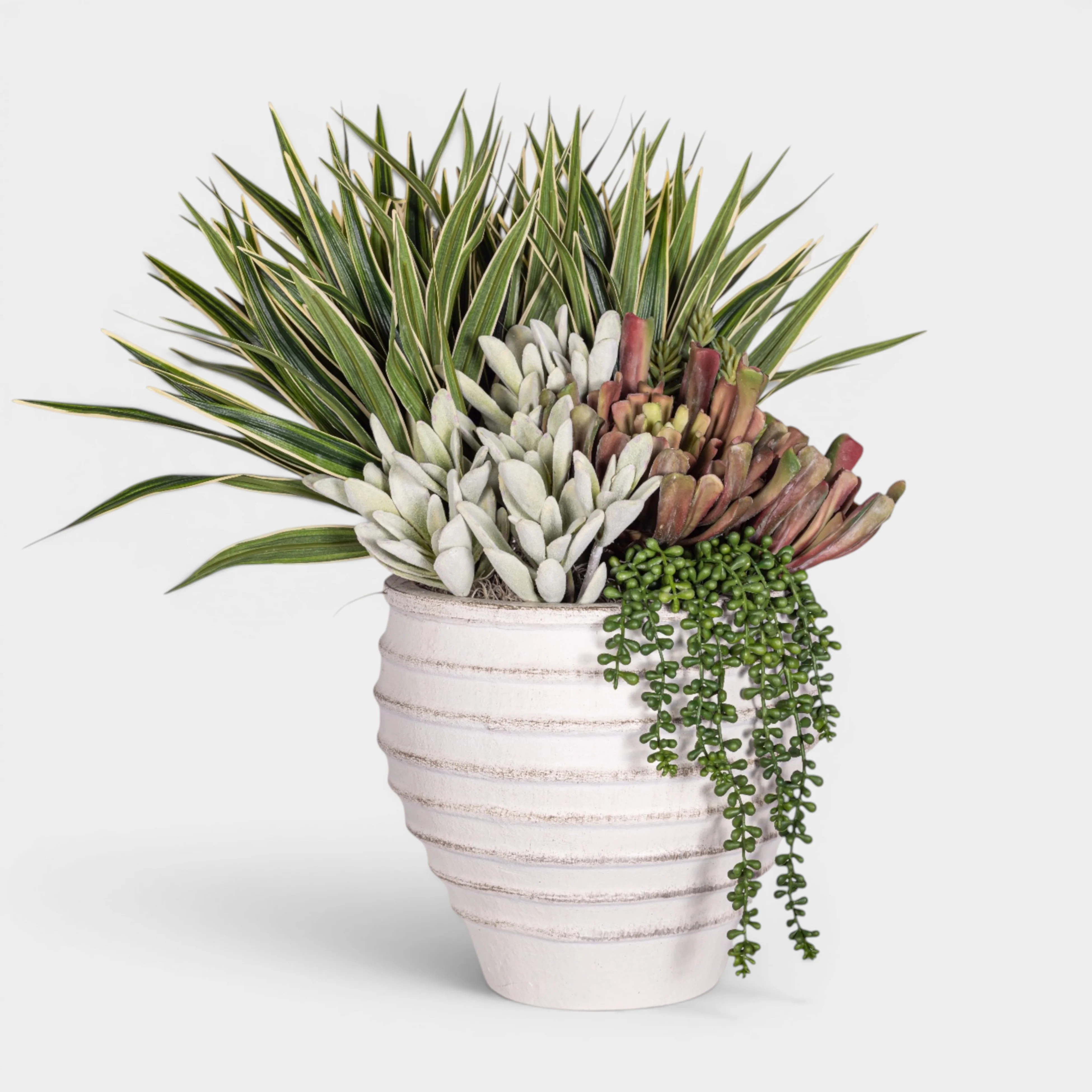 Roma Pot with Succulent Arrangement AR1959