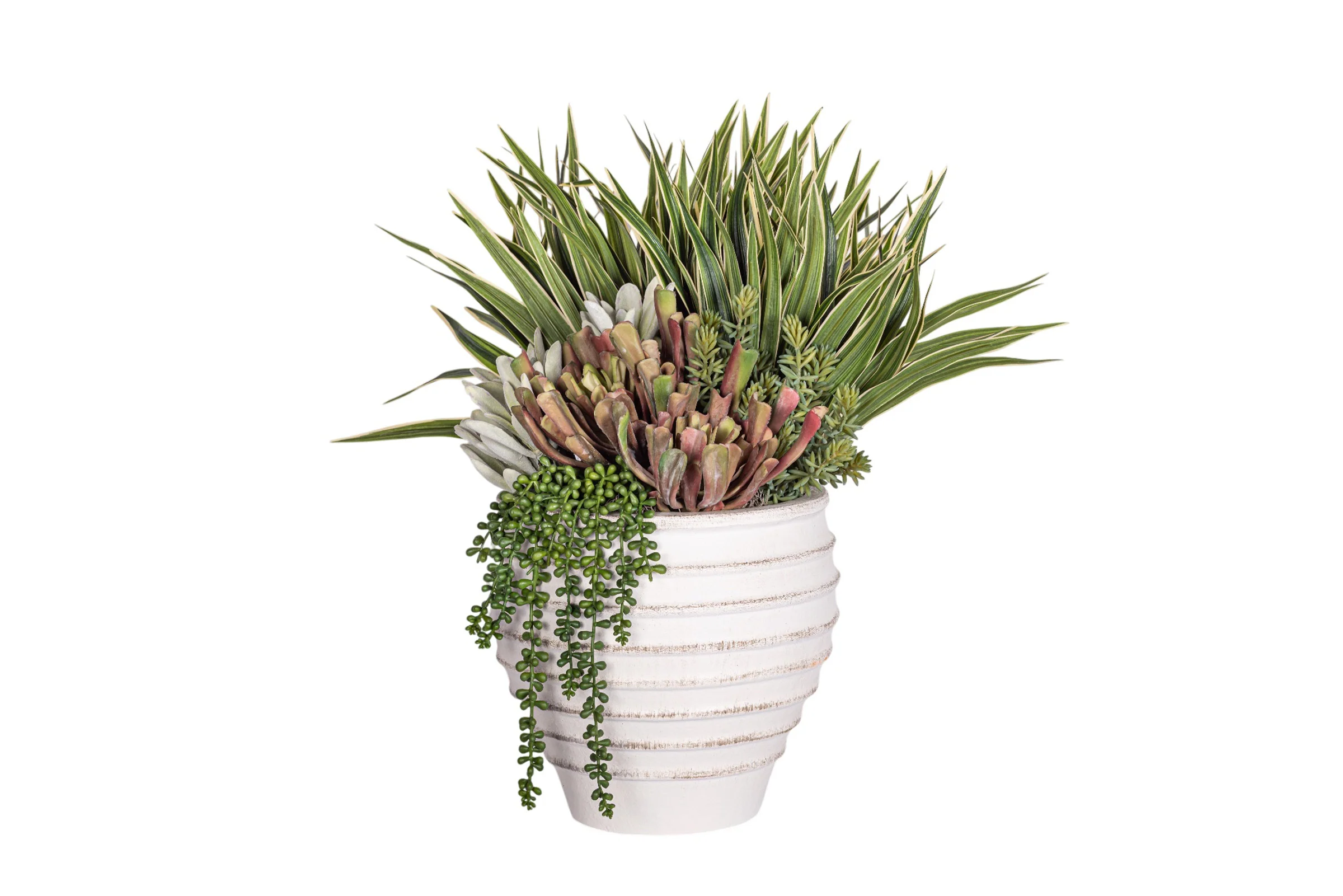 Roma Pot with Succulent Arrangement AR1959 - Image 3