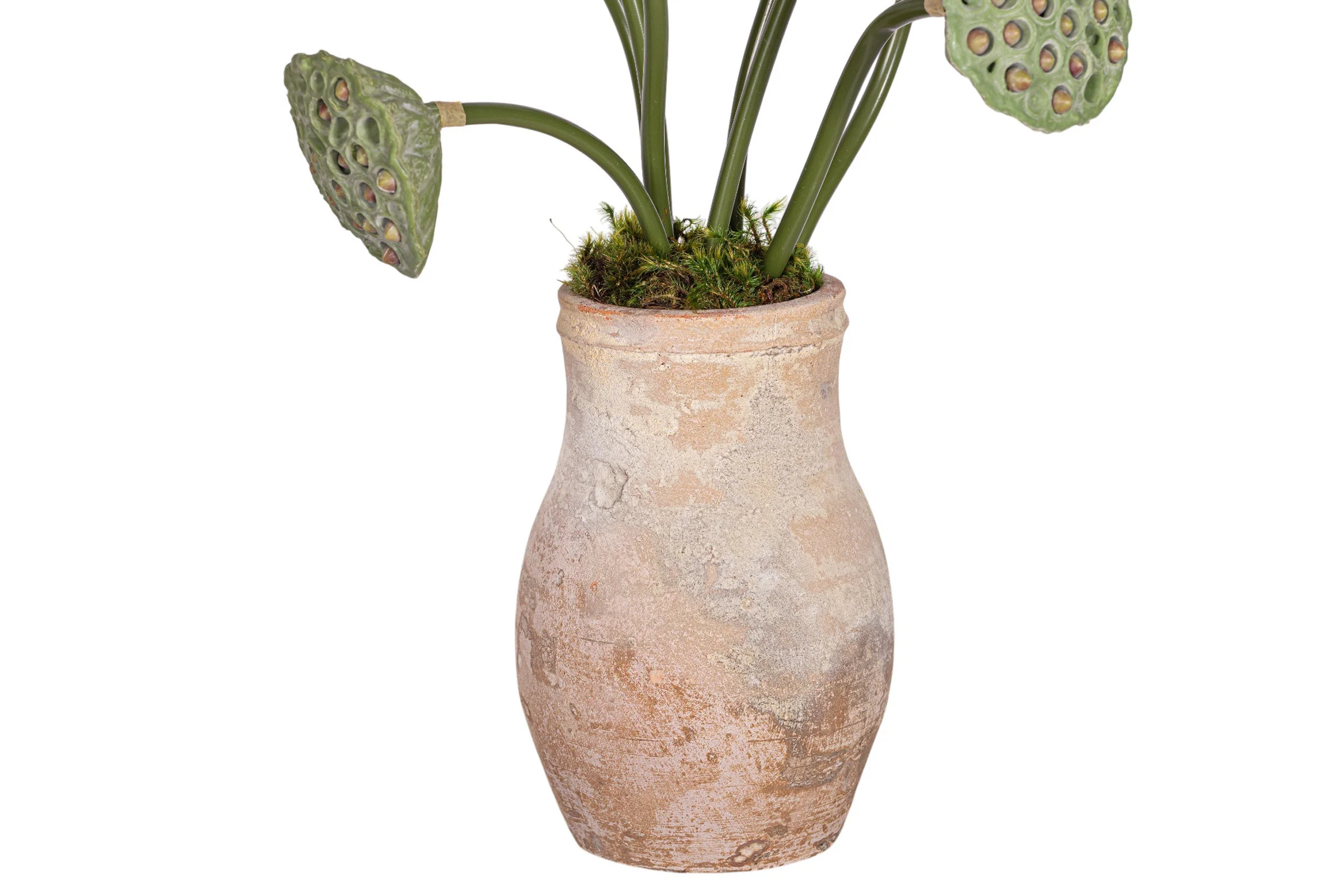 Rue Vase with Lotus Seed Arrangement AR1963 - Image 4