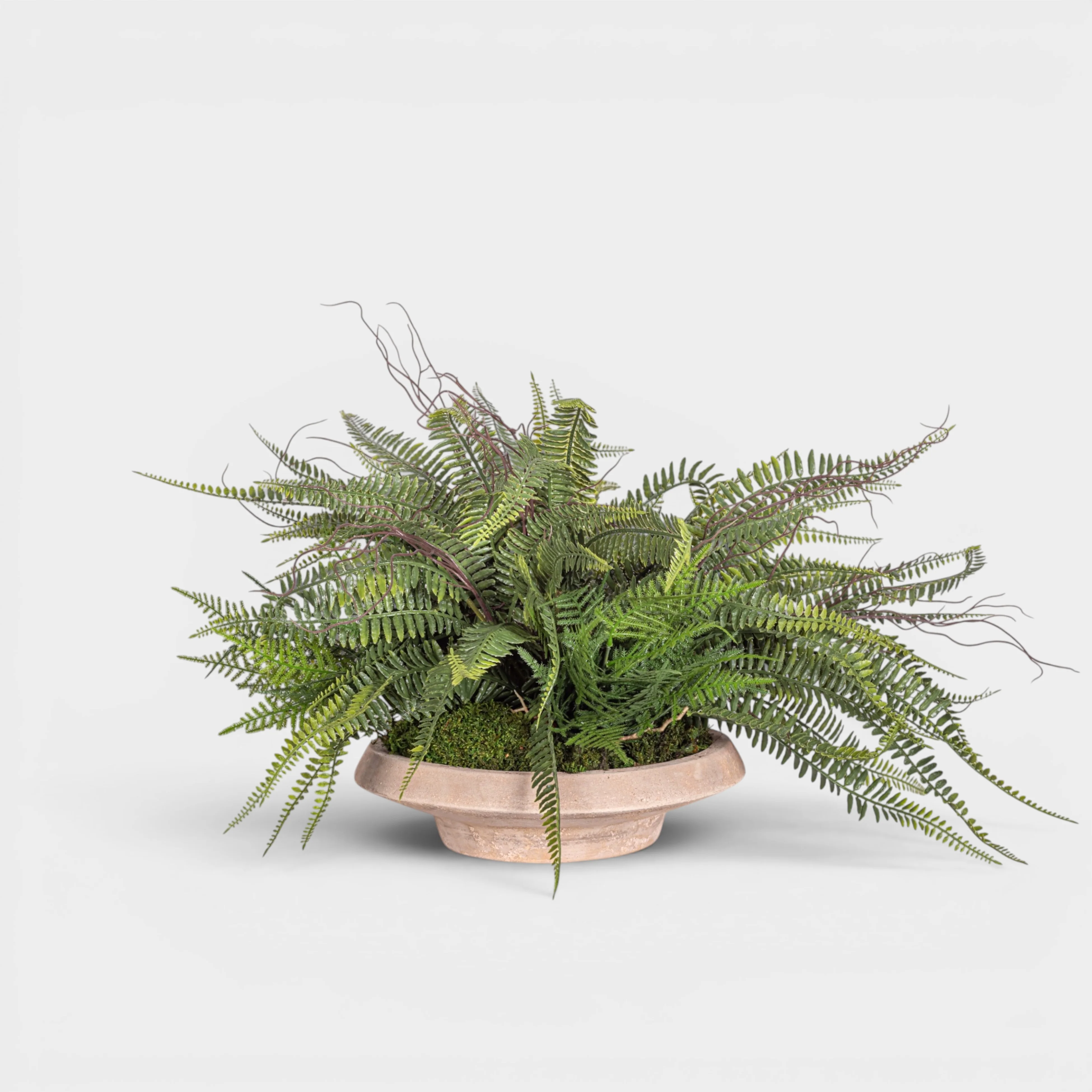Sayulita Saucer with UV Treated Fern Arrangement AR1969UV