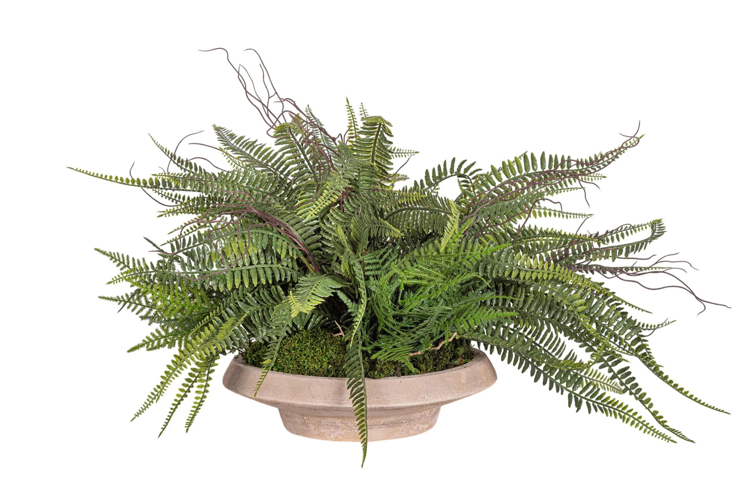 Sayulita Saucer with UV Treated Fern Arrangement AR1969UV - Image 2
