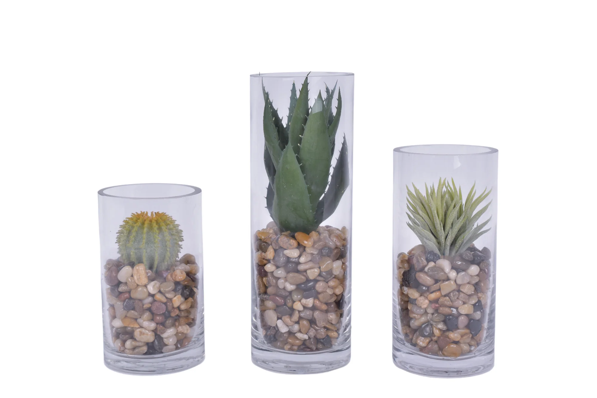 Set of Three Cactus and Mixed Pebble Arrangements in Glass Cylinders AR1677