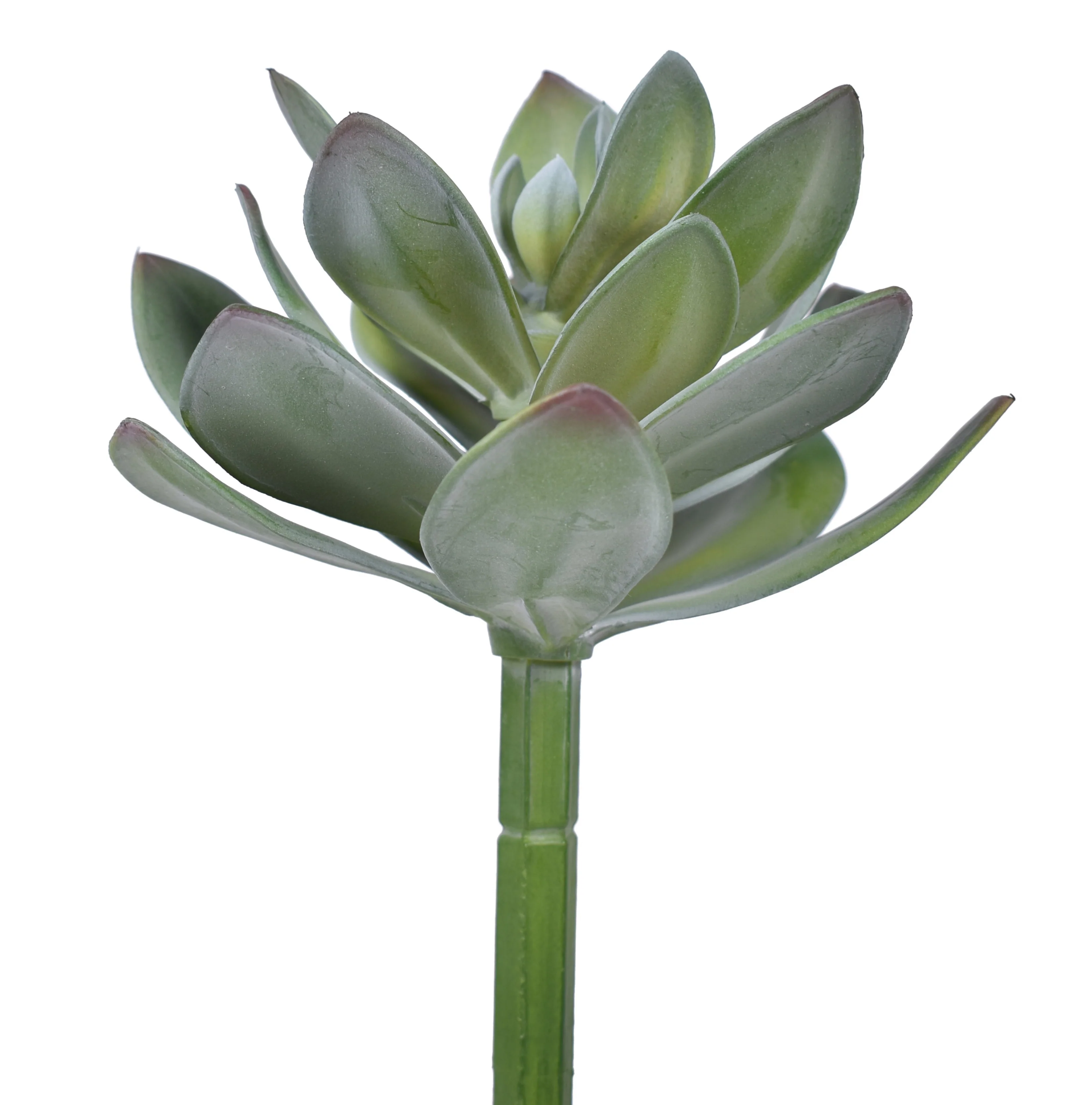 9" Succulent Pick - UV Treated SF1101UV