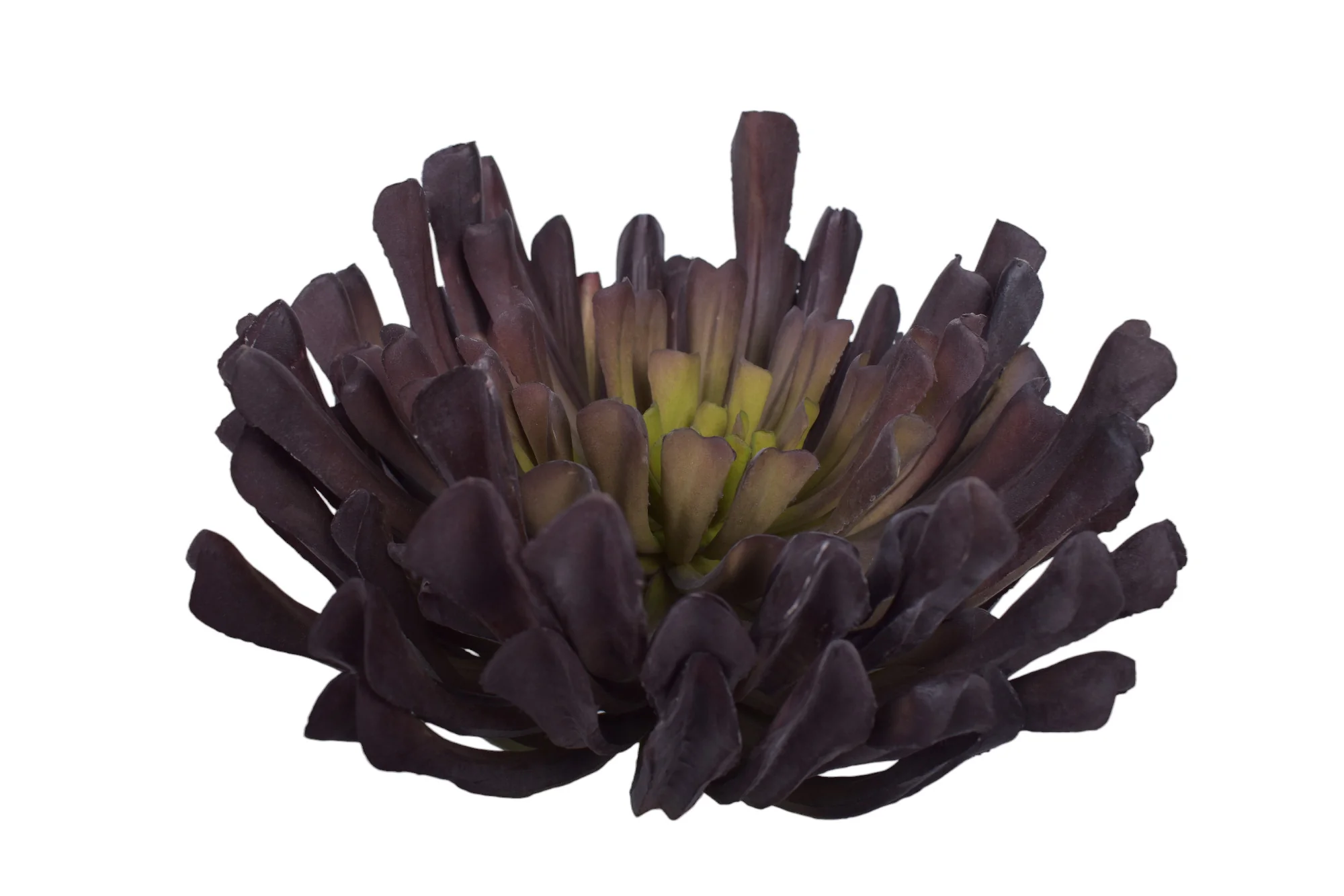11" Succulent - UV Treated SF1107UV