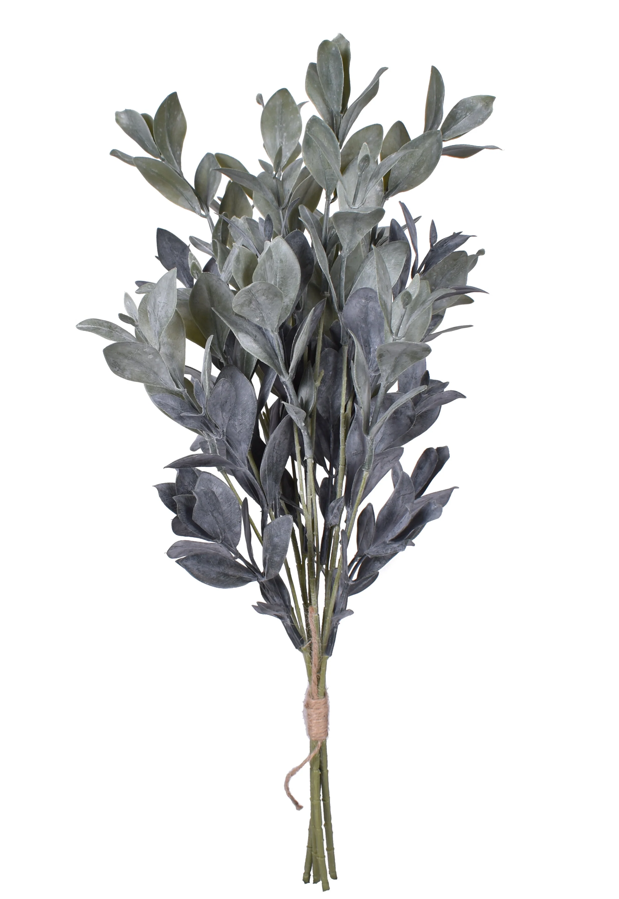 23.5" Eucalyptus Stem - UV Treated ST1142UV