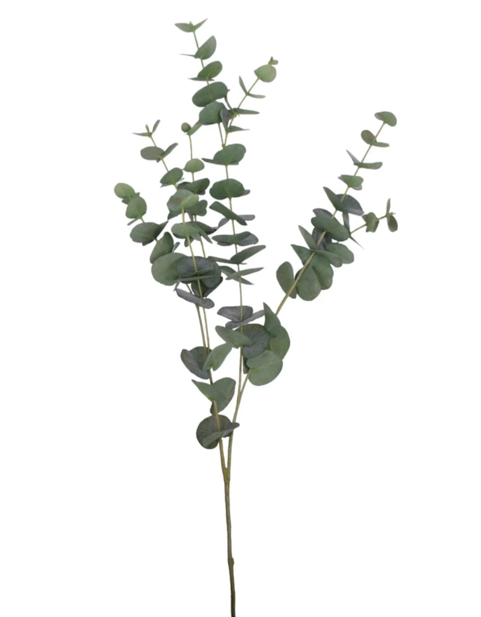 40" Eucalyptus Stem - UV Treated ST1161UV