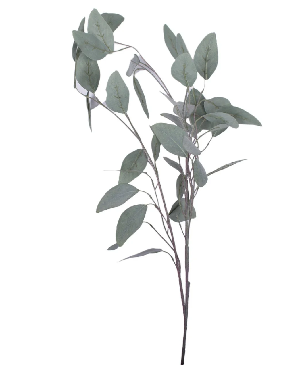36" Eucalyptus Stem - UV Treated ST1168UV