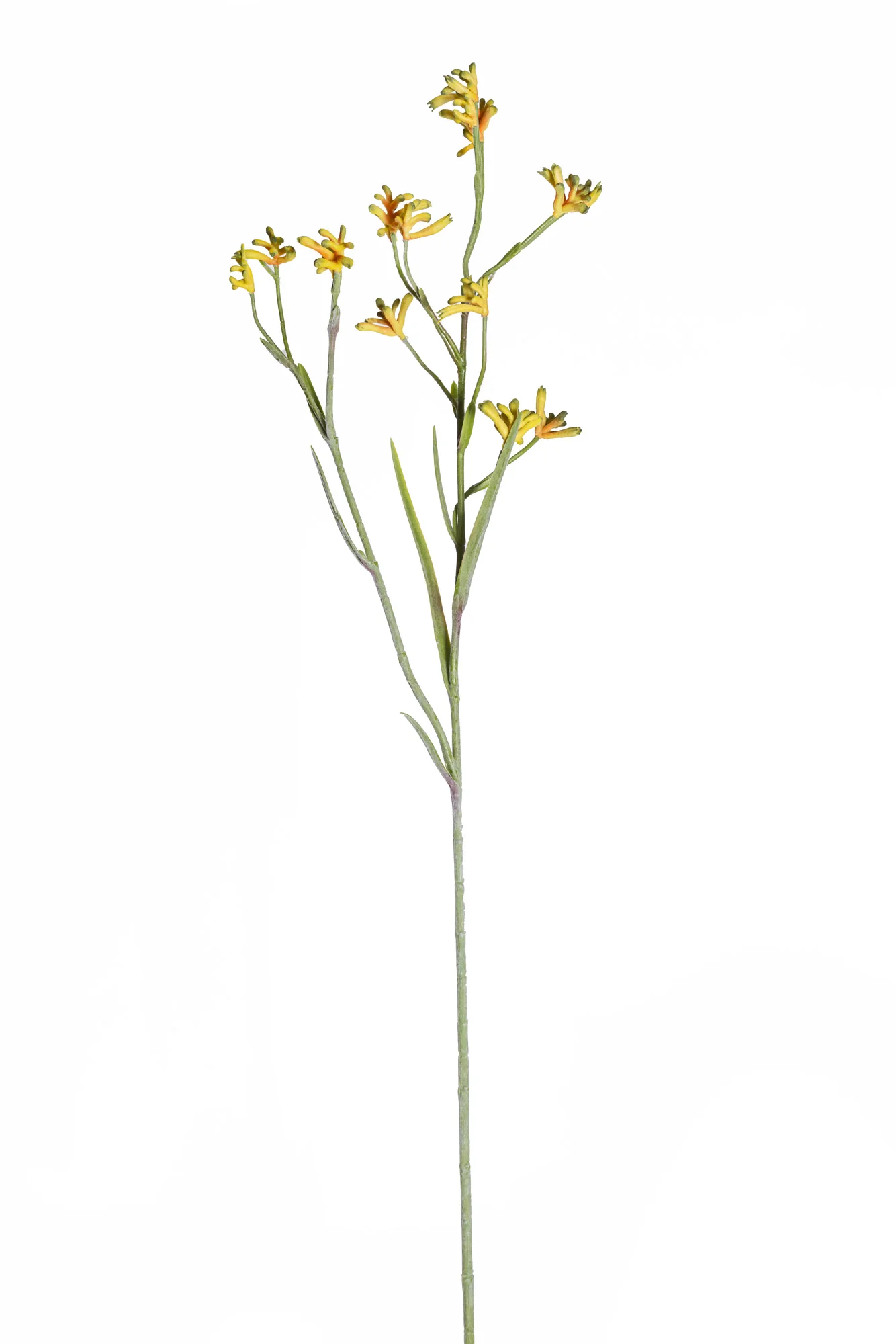 45" Yellow Kangaroo Paw Stem ST1192