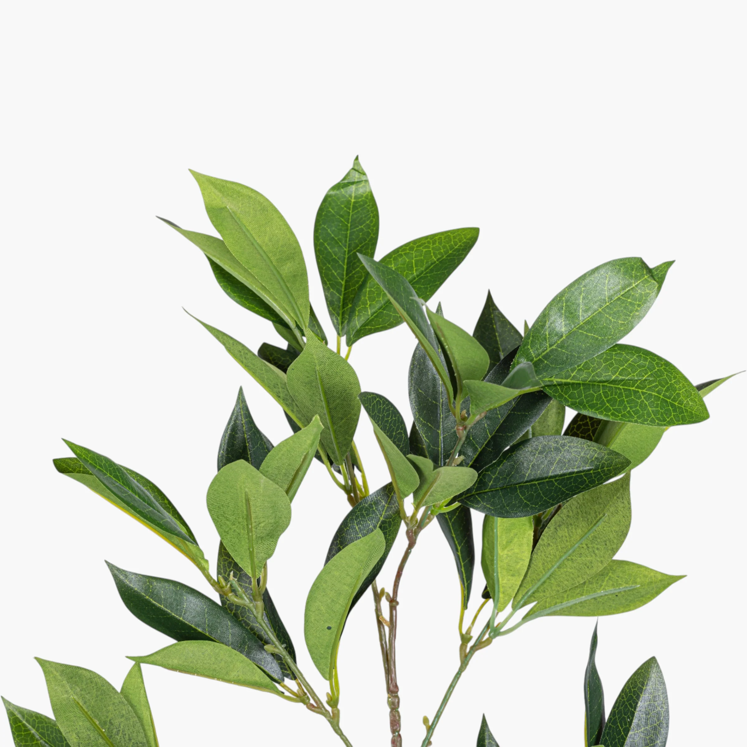 24" Bay Leaf Spray ST1257 - Image 2