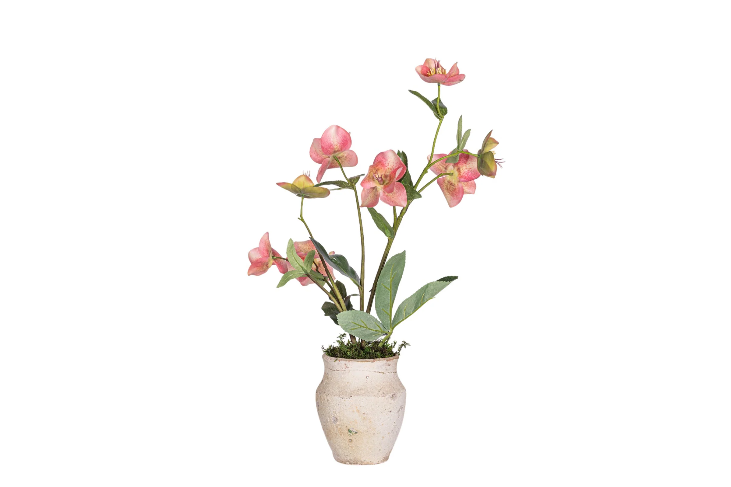 Titan Pot with Orchid Arrangement AR1967 - Image 3