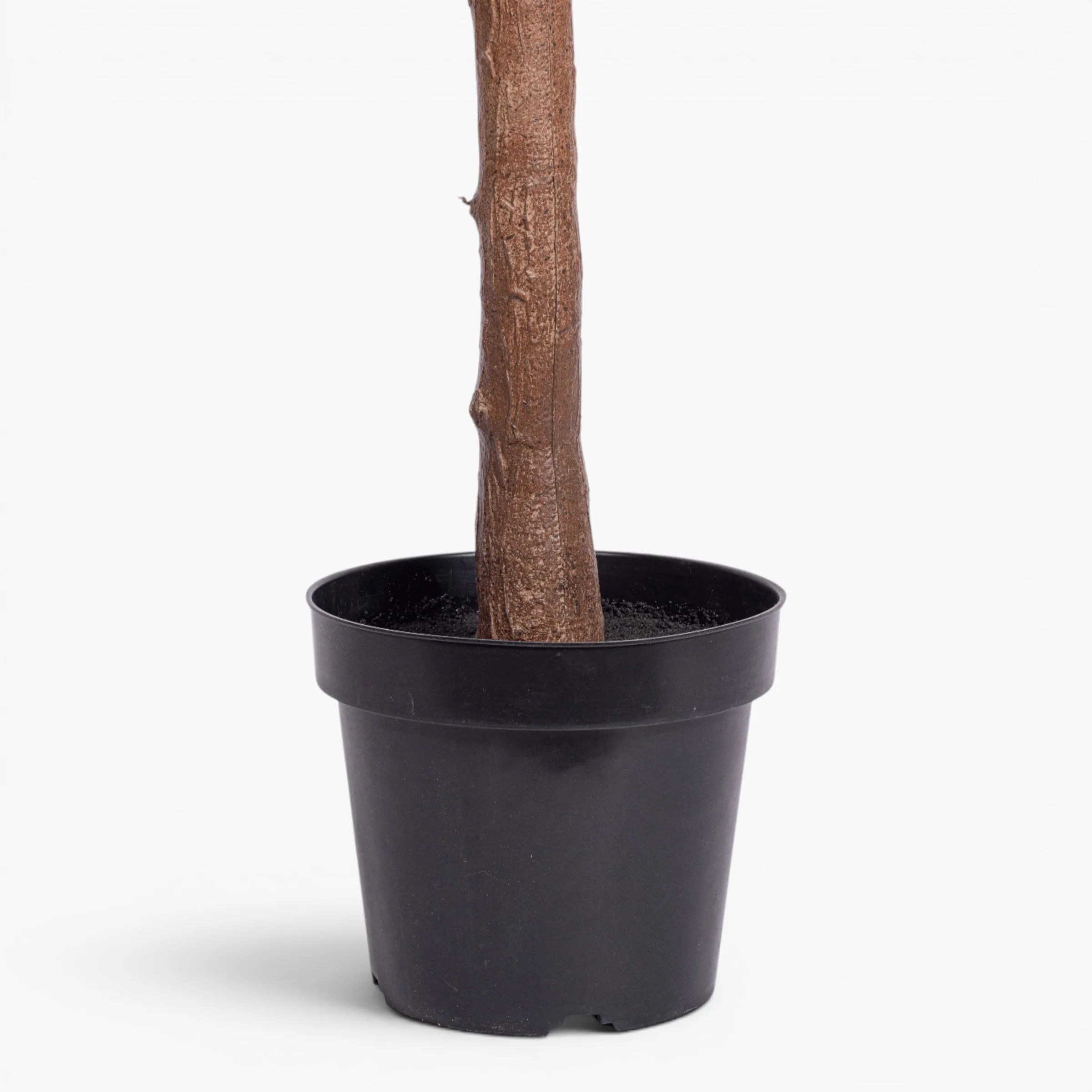 8' Fiddle Leaf Fig Tree - UV Treated    FP1512 - Image 3